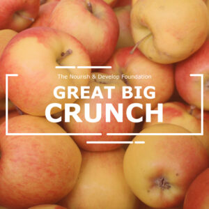 The Big Crunch Blog Featured Image
