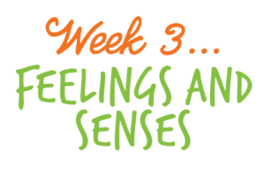 Week 3: Feelings and Senses