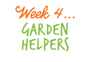 Week 4: Garden Helpers