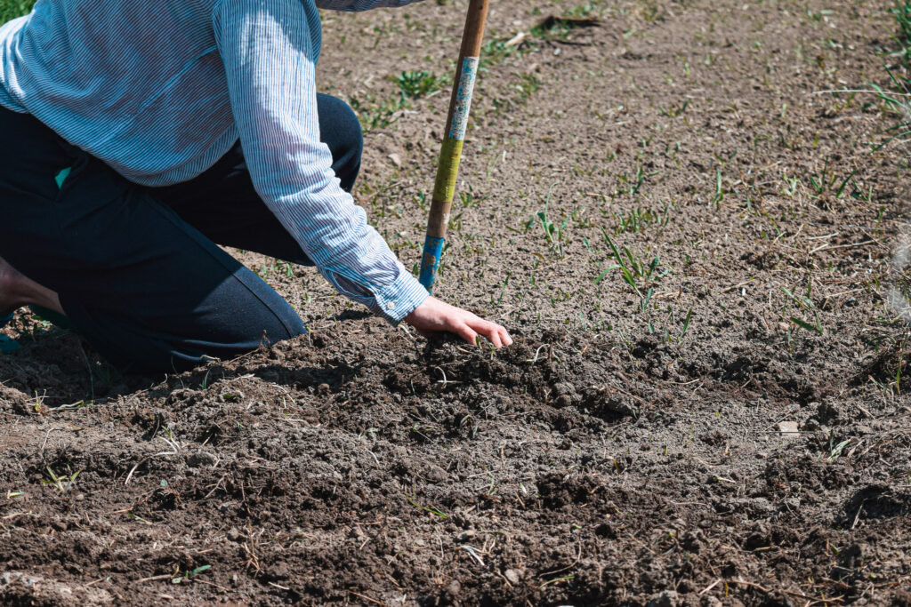 Beth tilling a plot at Maple Tree Community Garden