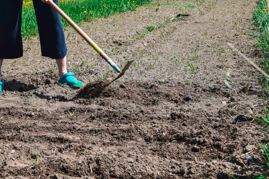 Beth tilling a plot at Maple Tree Community Garden