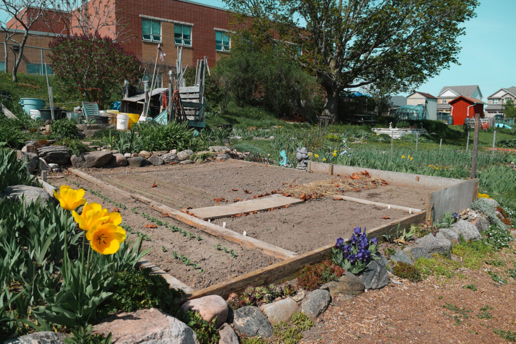 Plots at the Maple Tree Community Garden