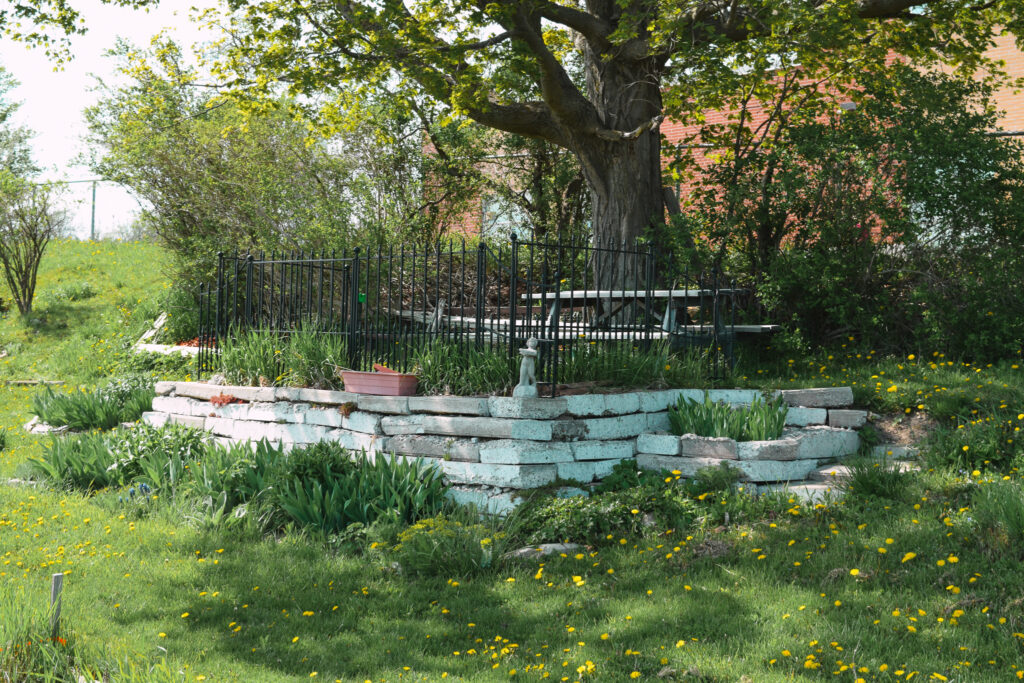 A peaceful corner of Maple Tree Community Garden