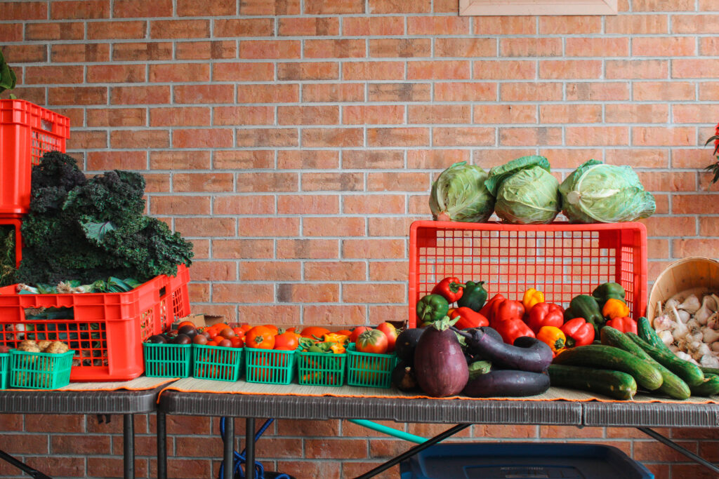 Vegetables displayed with a brick background