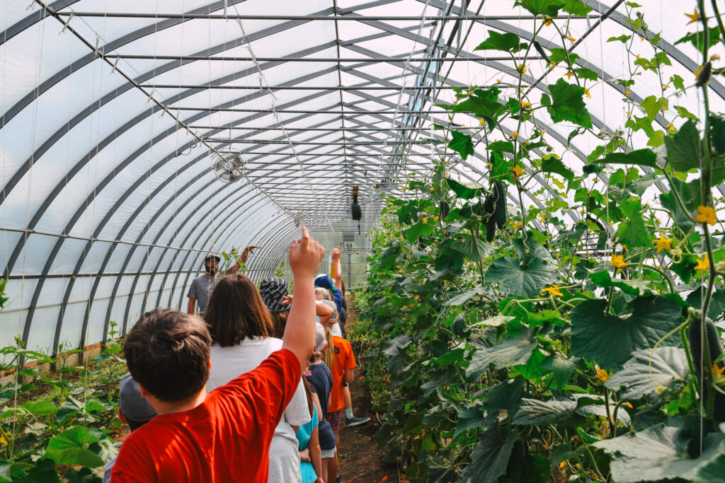 Children walking through a greenhouse with lots of plants.