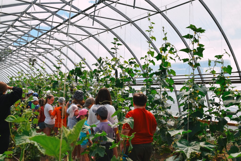 Children explore a greenhouse during one of our summer camps.