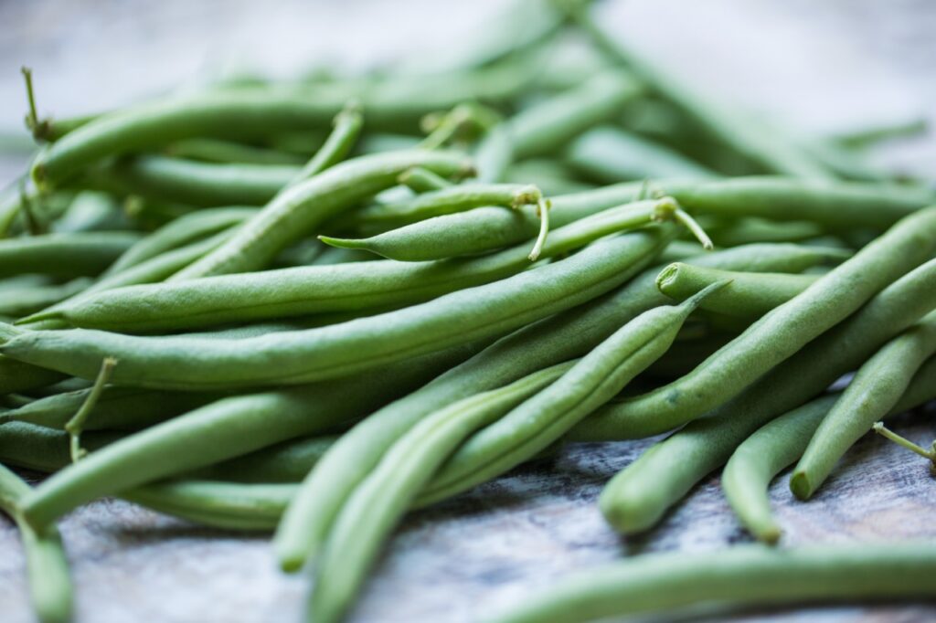 Fresh picked organic, healthy green beans