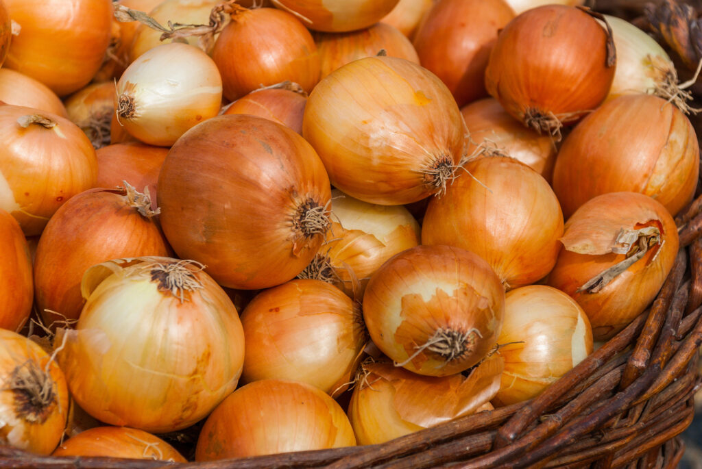 Onions in a bowl