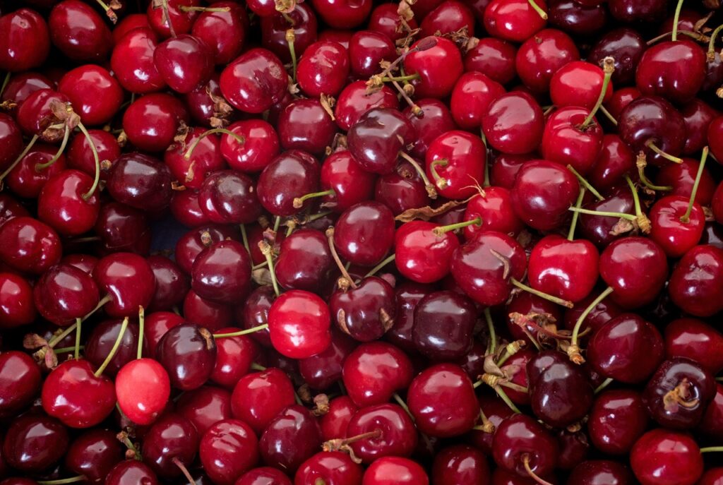 fresh burlat cherries in front of white background