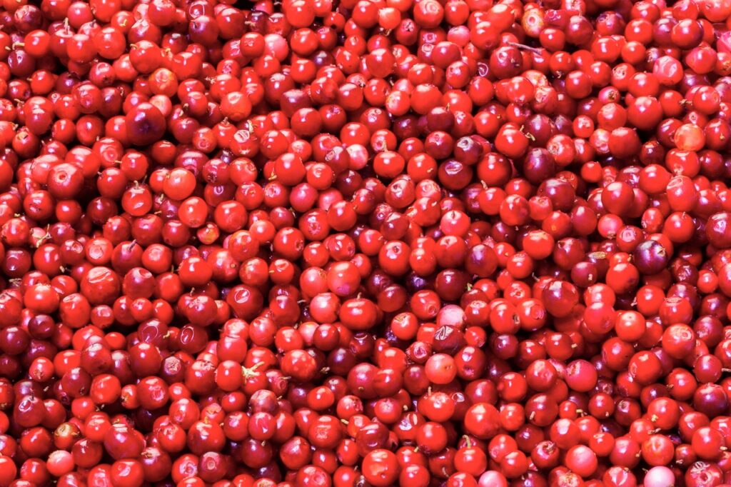 Background of raw organic red cranberries