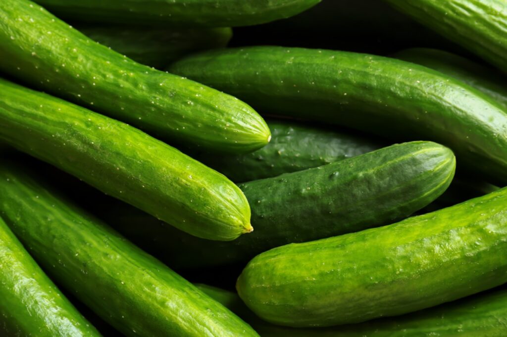 Many green fresh cucumbers as background