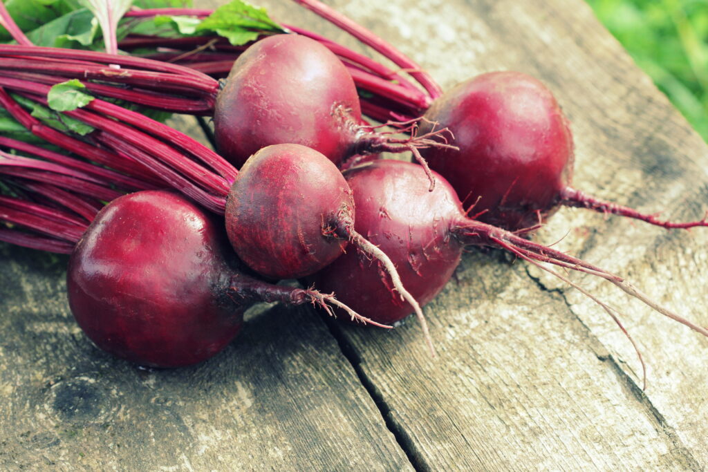 Fresh beetroot on rustic wooden background. Harvest vegetable cooking conception . Diet or vegetarian food concept .