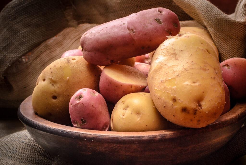 Raw organic red and yelow potatoes in wooden bowl on burlap.