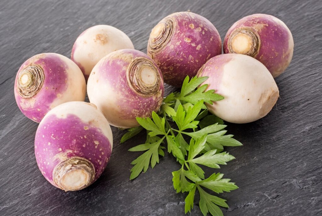 Brassica rapa in front of white background