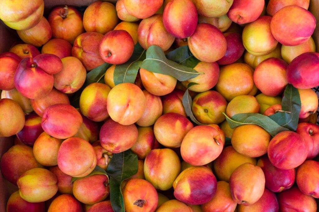 Fresh nectarines, close up in the market