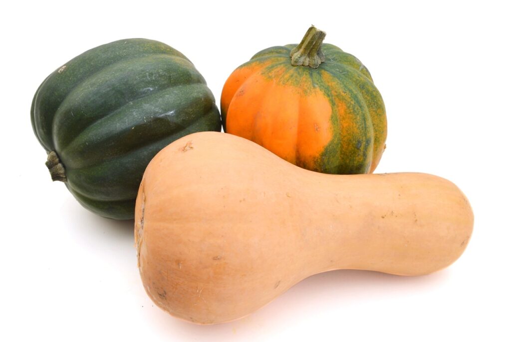 Squash Assortment On White Background