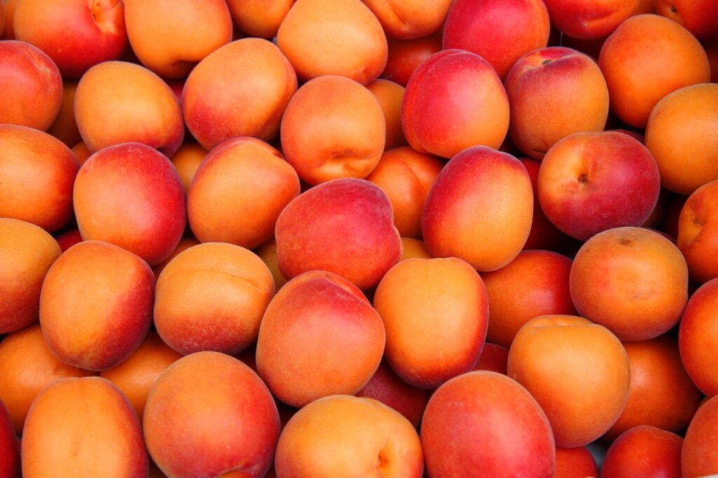 Apricots