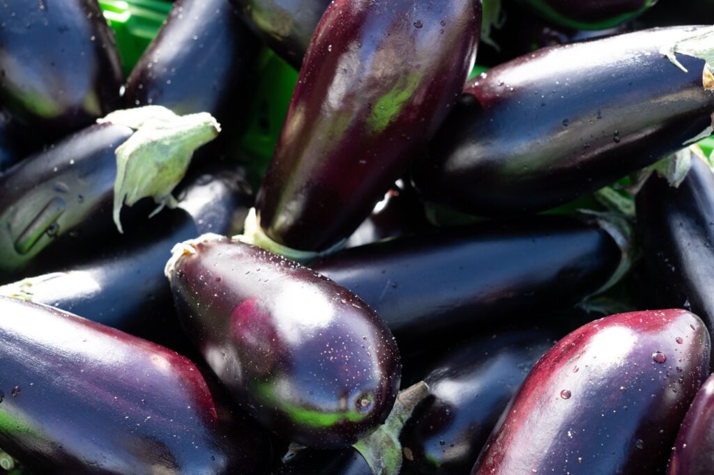 Fresh eggplant on sunday market