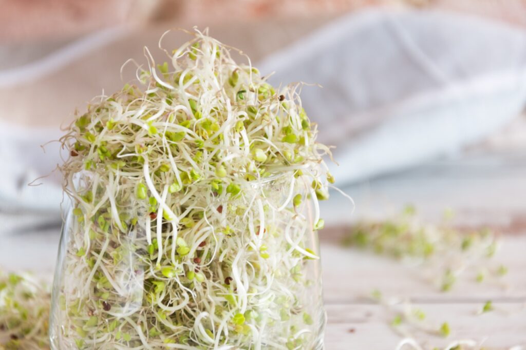 Mix of various sprouts on wooden background. Sprouted seeds. Healthy eating concept.