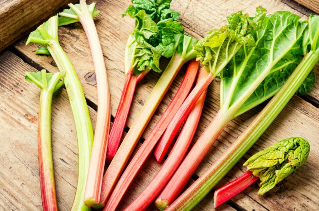 Fresh rhubarb stem on retro wooden table.Bundle of stalks and pieces rhubarb