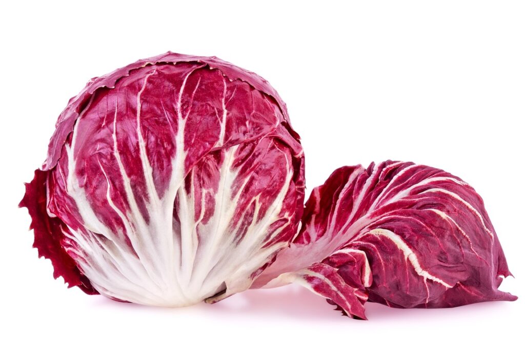 Radicchio, red salad isolated on white background.. Full depth of field