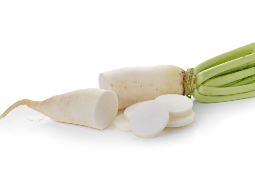 Daikon radishes isolated on white background