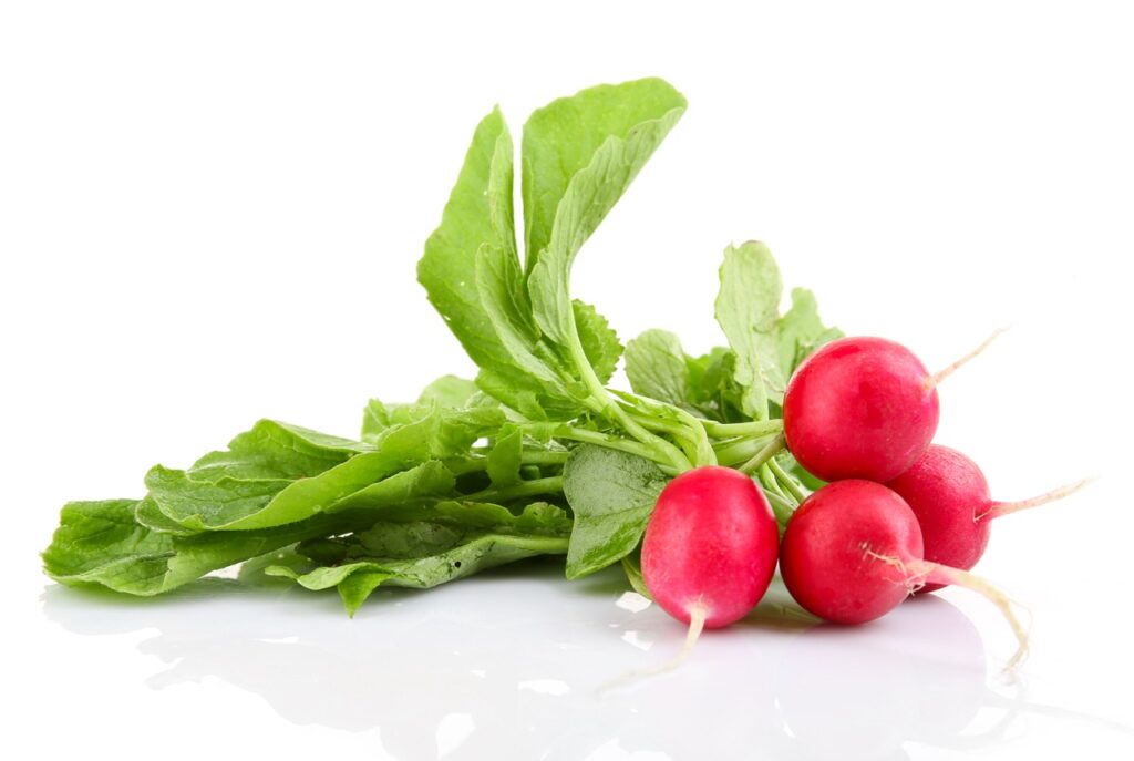 Fresh red radish isolated on white