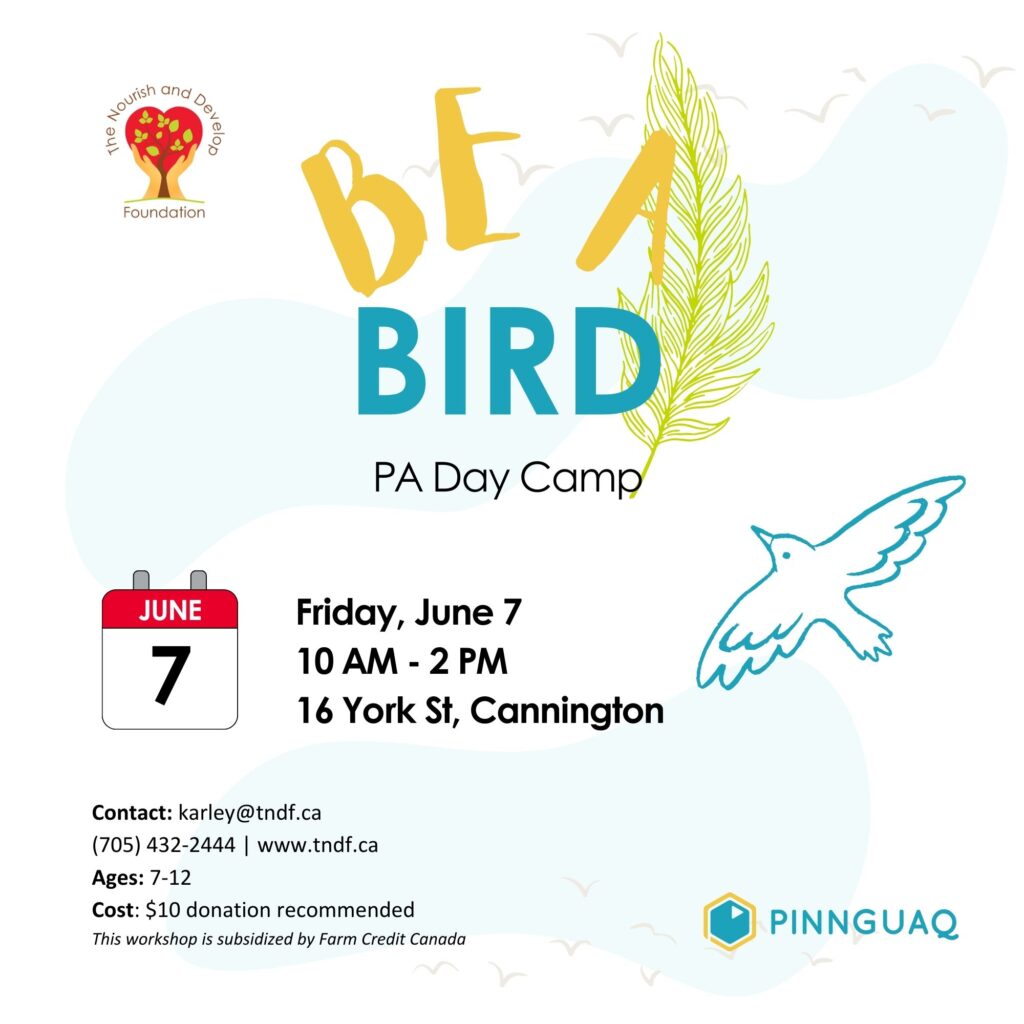 Be A bird PA Day camp Poster on June 7th 10am-2pm