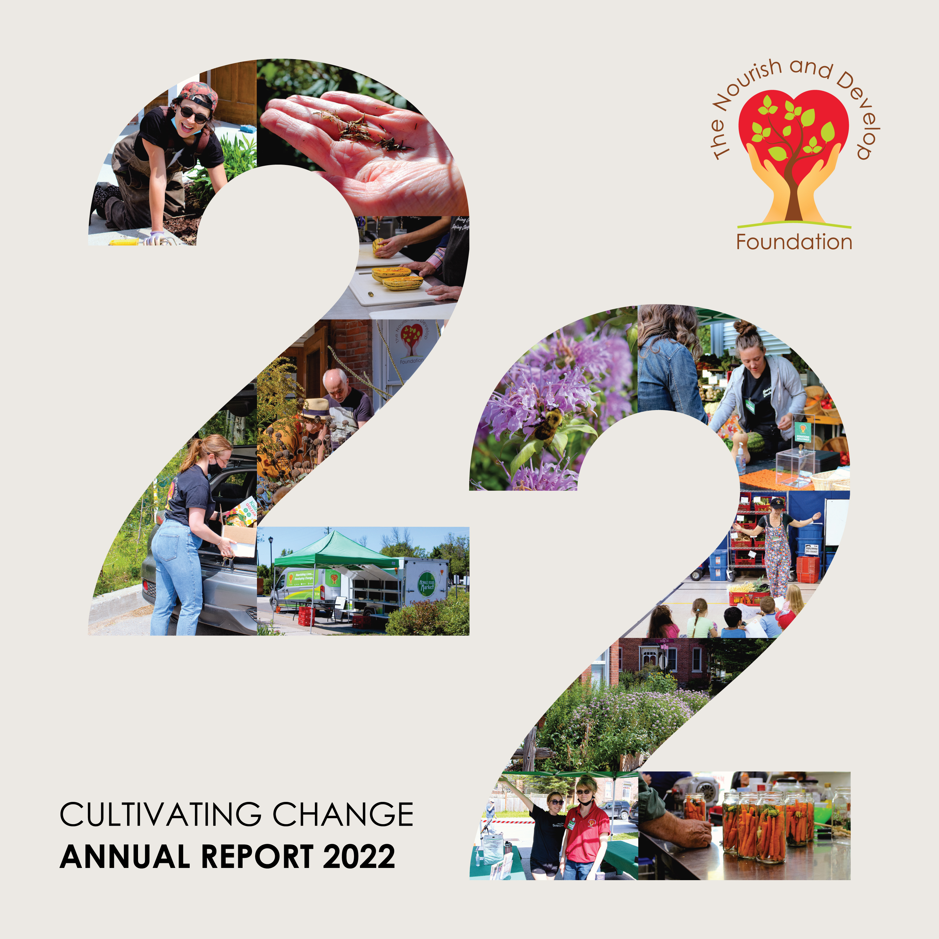 TNDF's 2022 Annual Report Cover