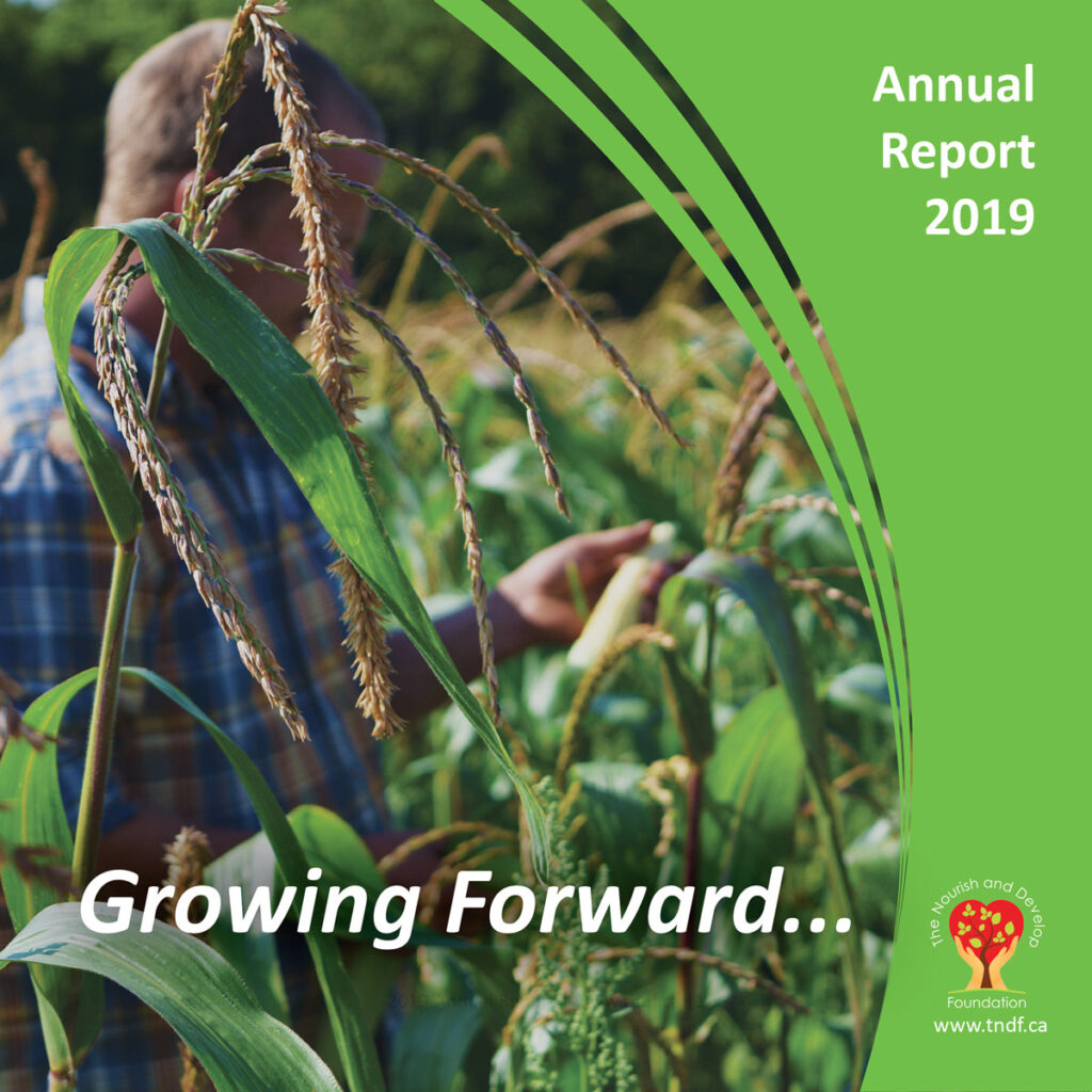 TNDF's 2019 Annual Report Cover