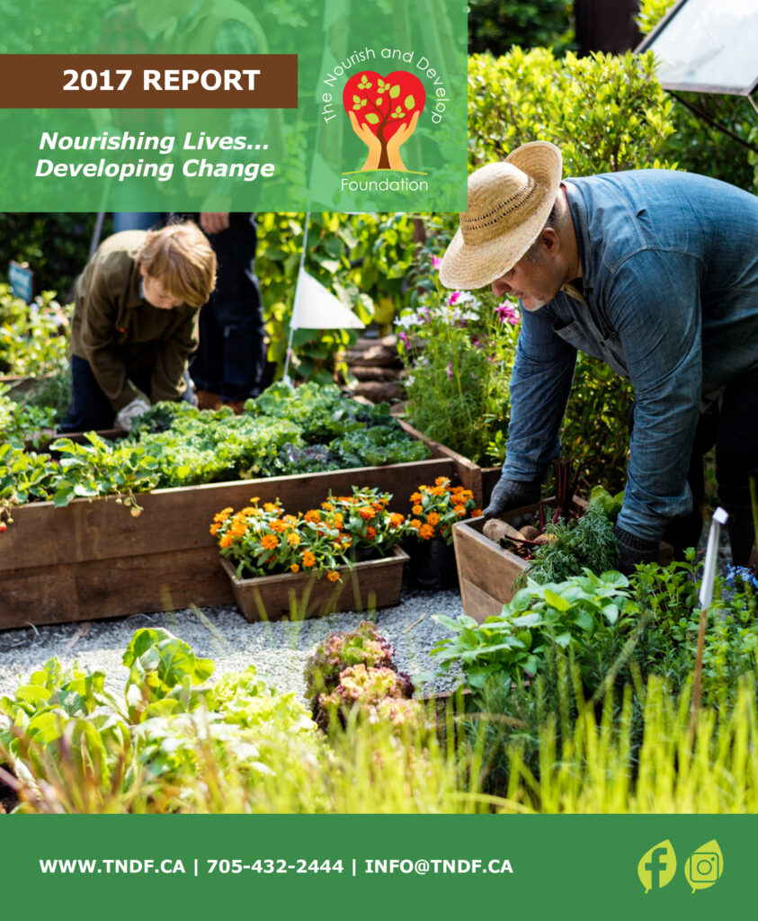 TNDF's 2017 Annual Report Cover