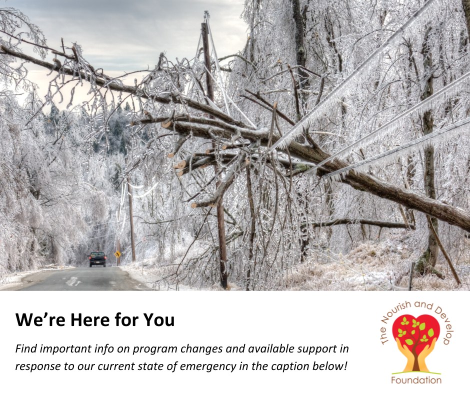 Image of an icy tree fallen on a wire. "We're Here for You Find important info on program changes and available support in response to our current state of emergency in the caption below"