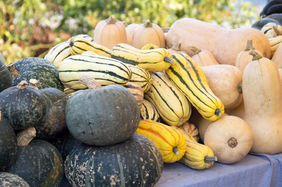 Winter squash on a table at a market