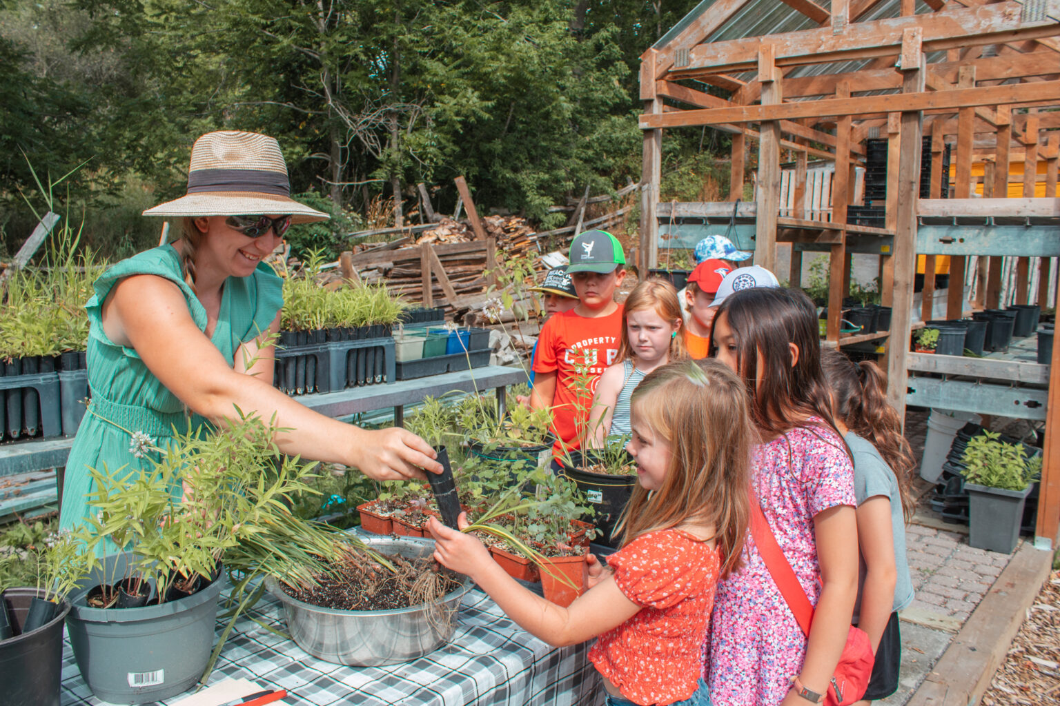 Summer Camp (Farmers Market)-12