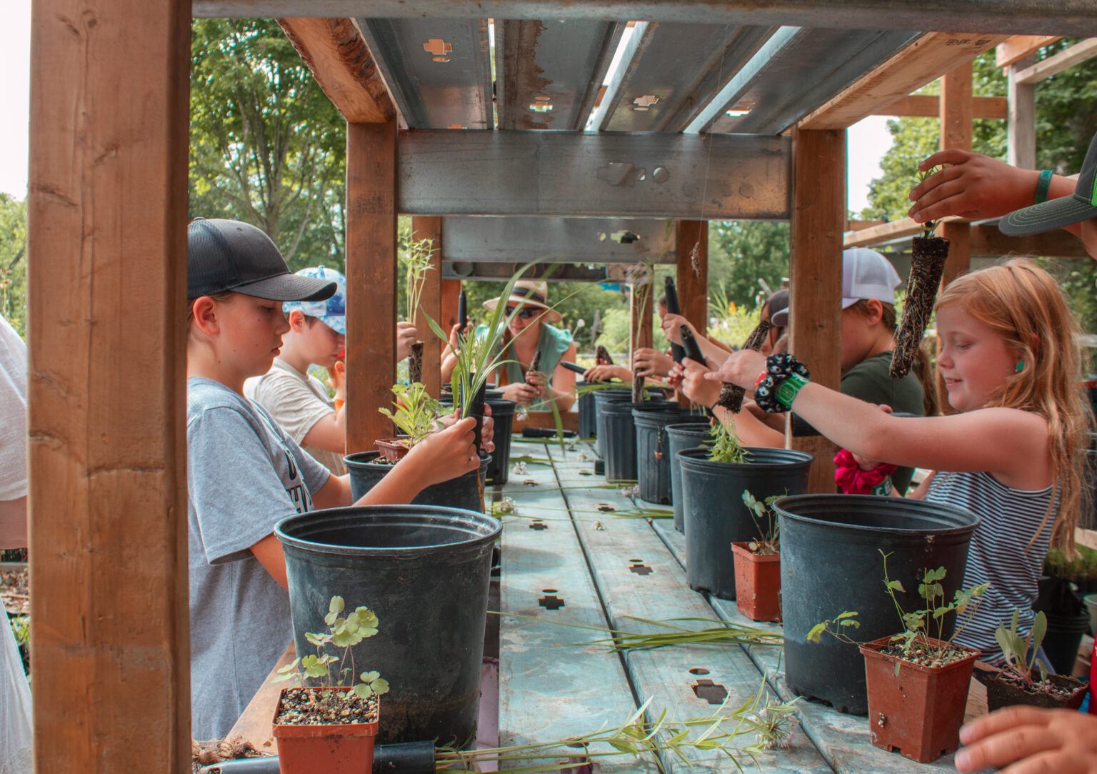 Summer Camp (Farmers Market)-14