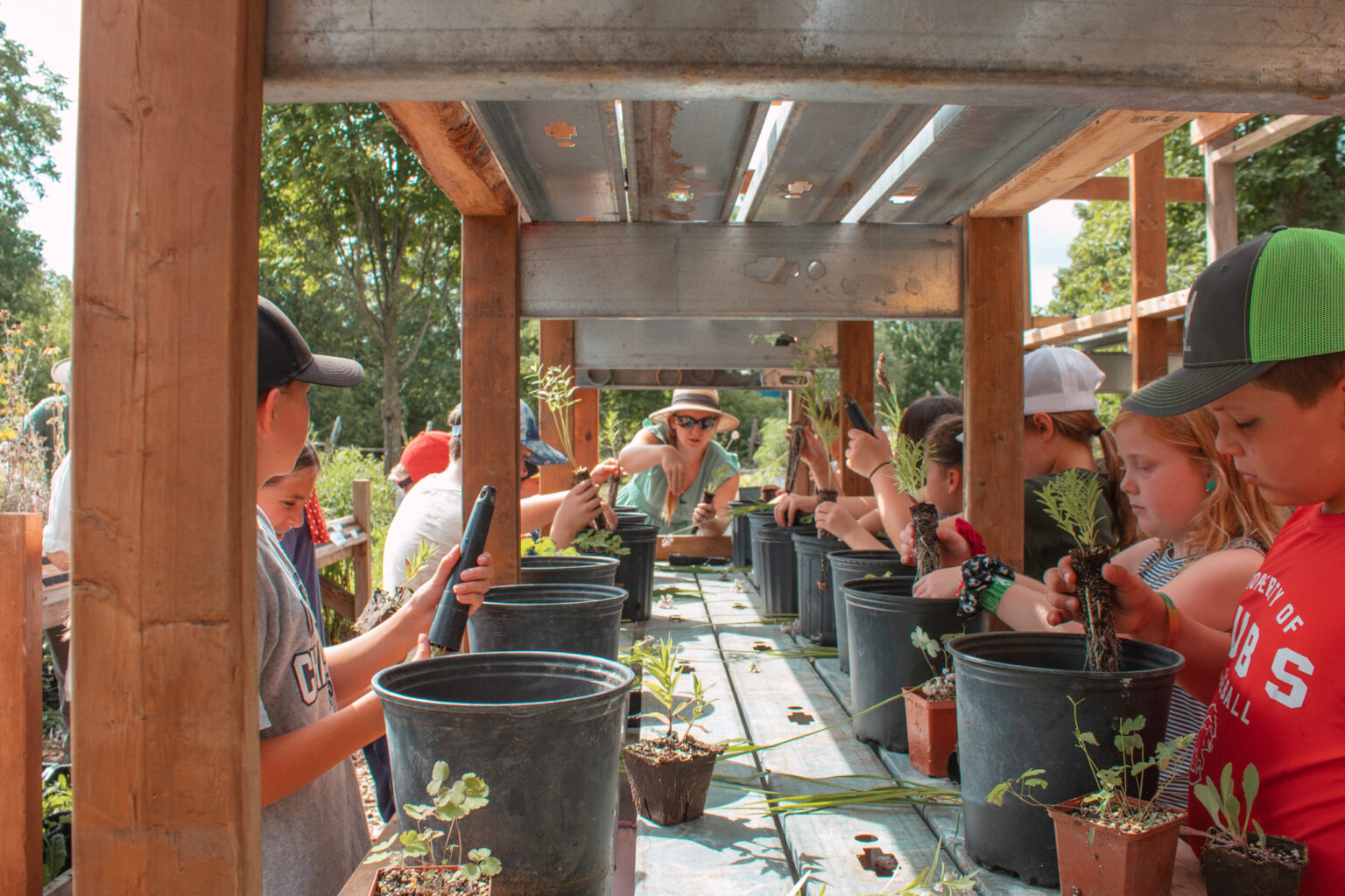 Summer Camp (Farmers Market)-15