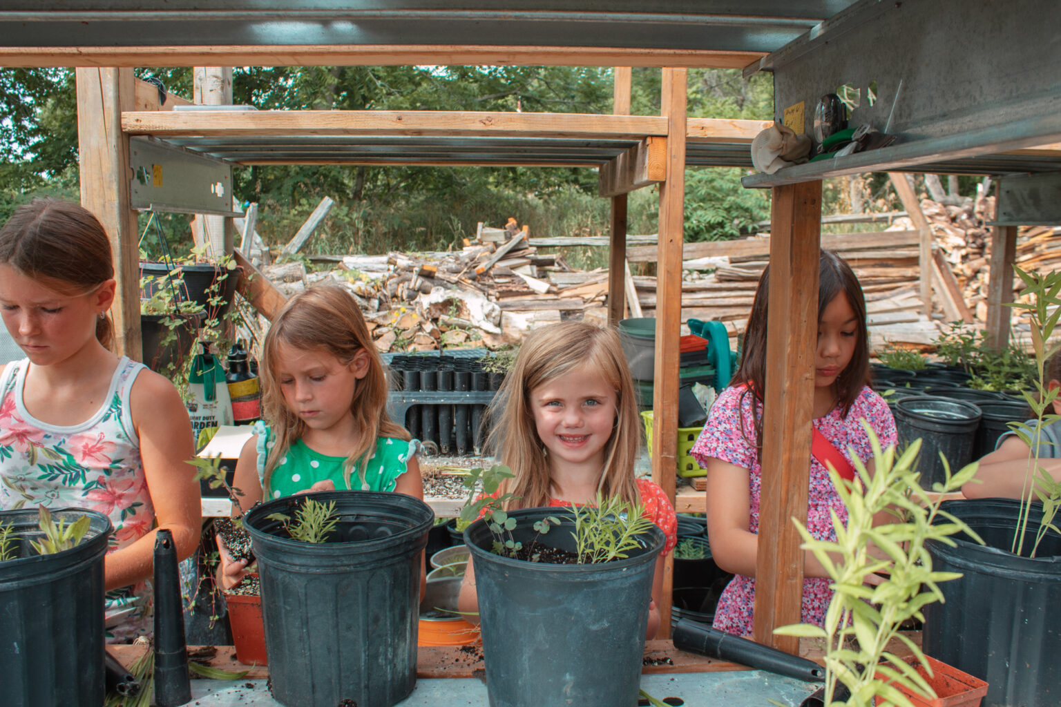 Summer Camp (Farmers Market)-16