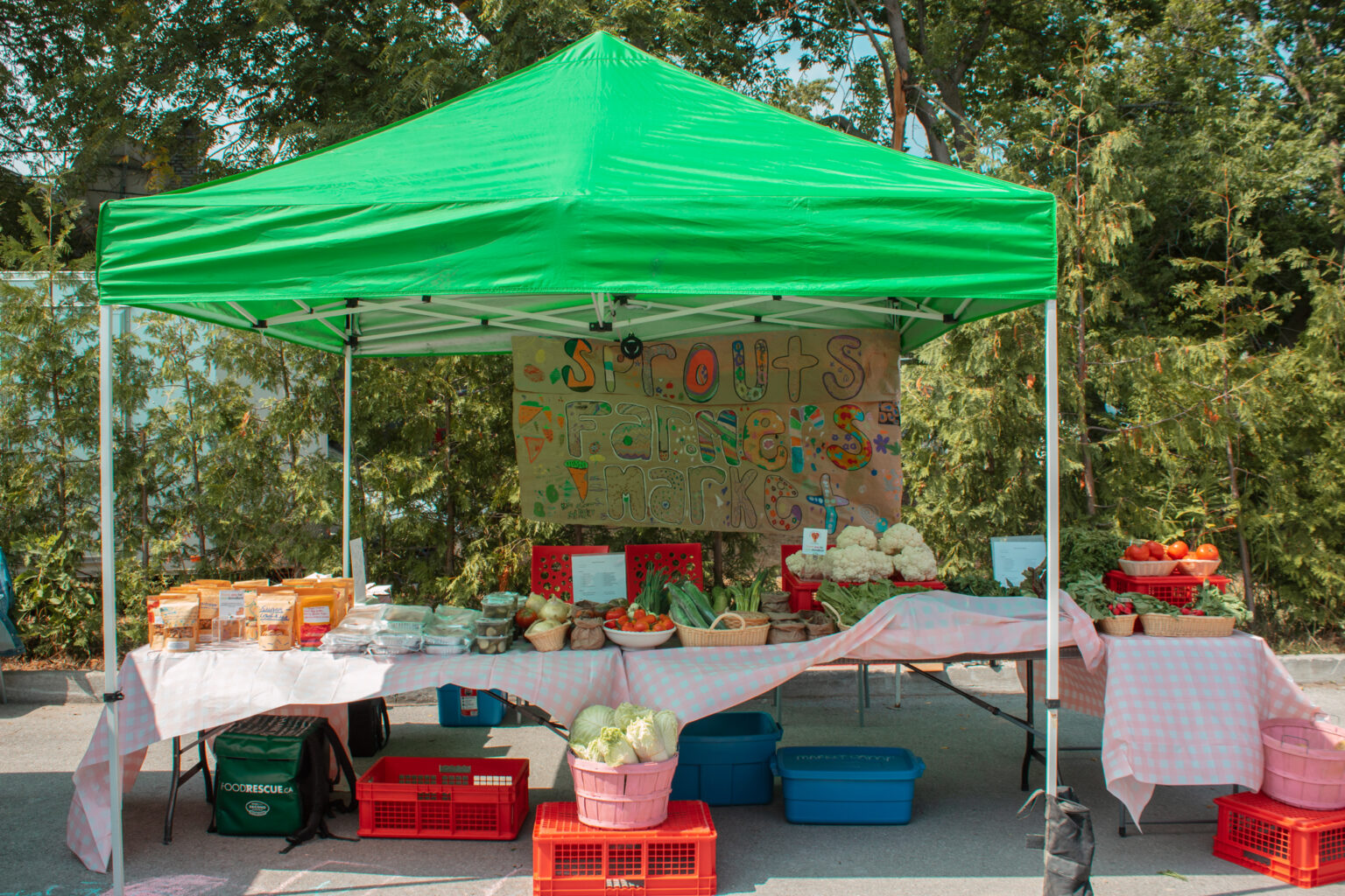Summer Camp (Farmers Market)-24