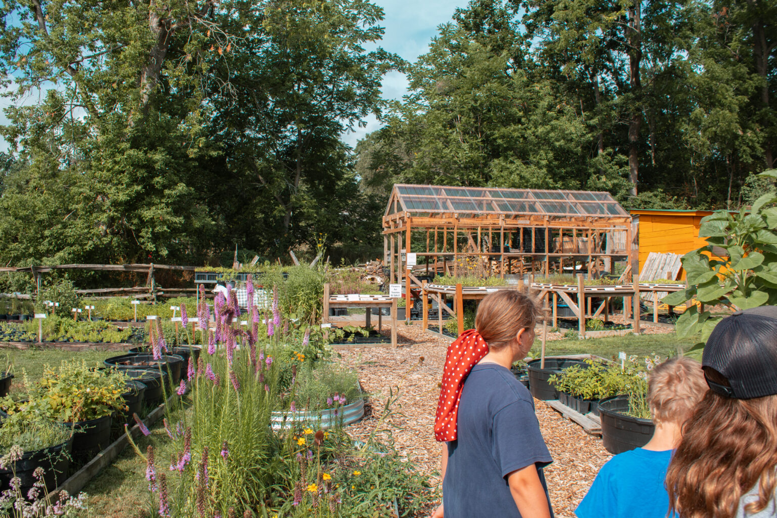 Summer Camp (Farmers Market)-7